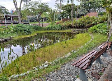 colombia/armenia/attraction/museo-del-oro-quimbaya