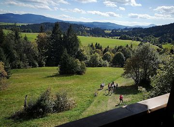 slovakia/kysuce/attraction/orava-logging-railway