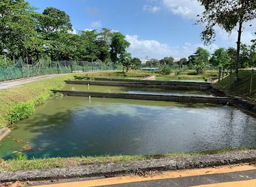 singapore/north-region/attraction/qian-hu-fish-farm