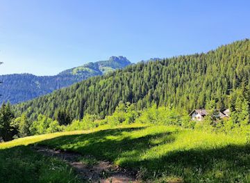 italy/dolomites/attraction/sentiero-geologico-di-falcade