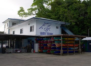 palau/ngchelobel/attraction/sam-s-tours-palau