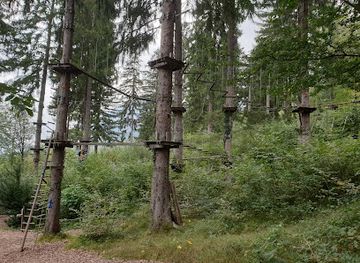 liechtenstein/steg/attraction/rope-park-in-the-forest