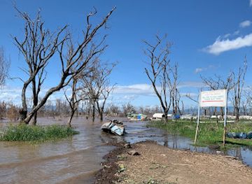 ethiopia/arbaminch/attraction/little-harbour-for-tourist-boats-of-crocodile-watching