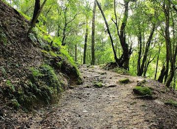 nepal/nagarkot/attraction/sundarijal-waterfall