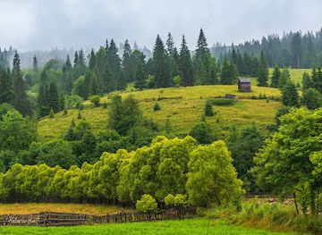 ukraine/bukovina/attraction/gara-mocanita-hutulca-moldovita