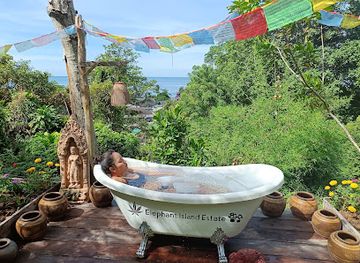 thailand/trat/attraction/elephant-island-estate