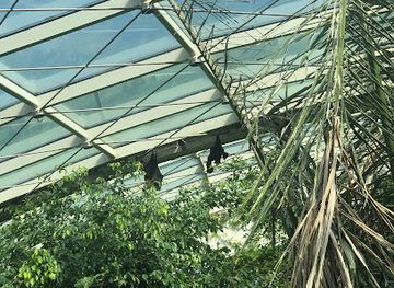 austria/vienna-woods/attraction/rainforest-house