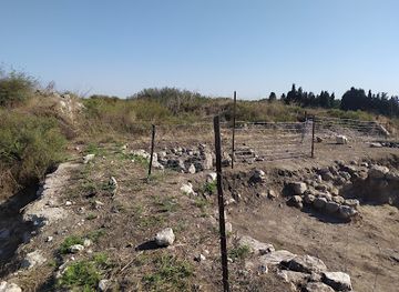 israel/judea/attraction/tel-assor