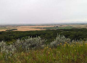 north-dakota/turtle-mountains/attraction/turtle-mountain-state-forest