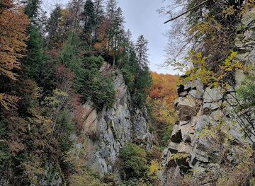 romania/buila-vanturarita-national-park/attraction/valea-costesti