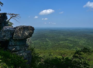 alabama/cheaha-state-park/attraction/talladega-national-forest