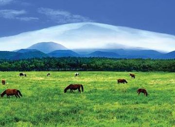 south-korea/jeju-city/attraction/core-travel