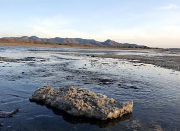 kenya/lake-magadi/attraction/hot-springs-saltz