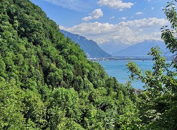 switzerland/montreux/attraction/original-flash-garden