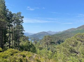 united-kingdom/inverness/attraction/glen-affric