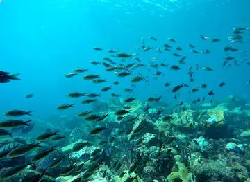 Allblue Cabo Verde