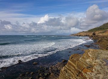 california/san-diego-beaches/attraction/point-loma-tide-pools