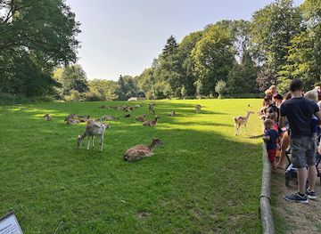 germany/dusseldorf/attraction/wildpark-grafenberger-wald