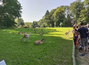 Wildpark Grafenberger Wald