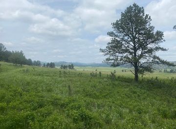 south-dakota/needles-highway/attraction/sanctuary-trail