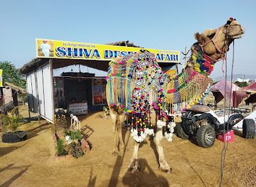 india/pushkar/attraction/shiva-camel-safari