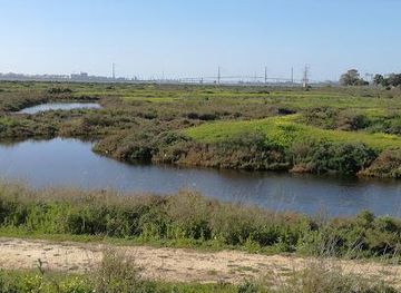 spain/cadiz/attraction/bay-of-cadiz-natural-park