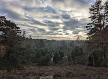 germany/lüneburg-heath/attraction/borsteler-schweiz