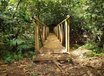 costa-rica/sarapiqui/attraction/la-selva-biological-station
