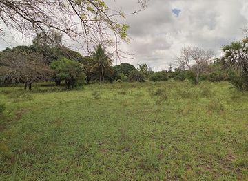 kenya/diani-beach/attraction/kingdom-eco-camp