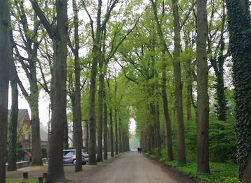 belgium/aalst/attraction/osbroek