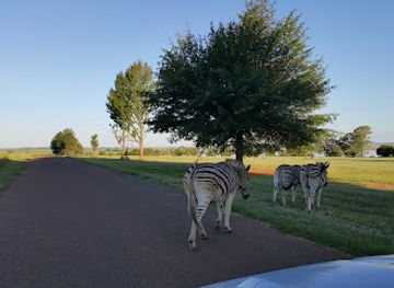 south-africa/battlefields/attraction/chelmsford-nature-reserve