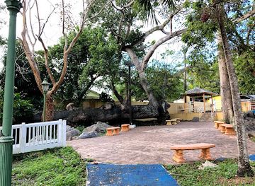 puerto-rico/la-parguera/attraction/la-ceiba-acostada