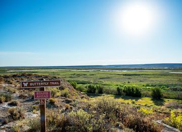new-mexico/roswell/attraction/bitter-lake-national-wildlife-refuge