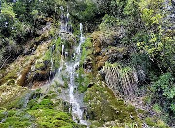 new-zealand/tasman/attraction/whispering-falls