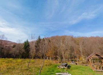 ukraine/skole-beskids/attraction/mistse-vidpochynku-bilya-vodospadu