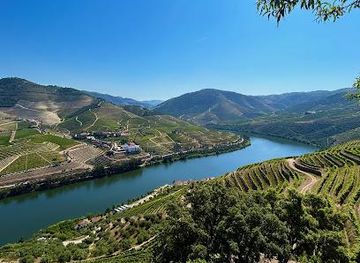 portugal/lamego/attraction/quinta-das-carvalhas