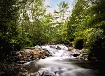 maine/mount-desert-island/attraction/duck-brook-bridge