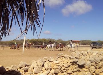 guyana/new-amsterdam/attraction/horse-ranch-bonaire