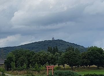 france/lorraine/attraction/torii-japonais