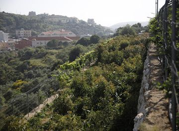 lebanon/koura/attraction/paradis-vert