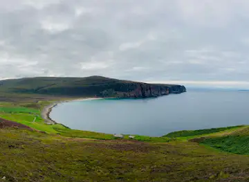 Hoy