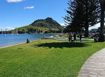 new-zealand/tauranga/attraction/coronation-park