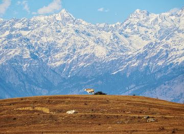 india/chopta/attraction/benital