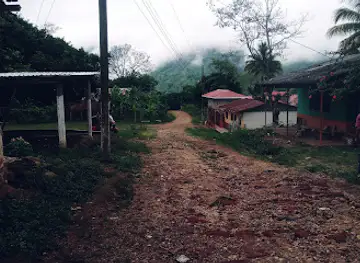 Colon Honduras
