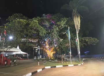 kenya/nairobi/westlands/attraction/iconic-fig-tree-westlands