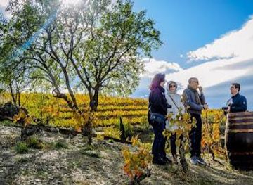 spain/tarragona/attraction/devinssi-winery