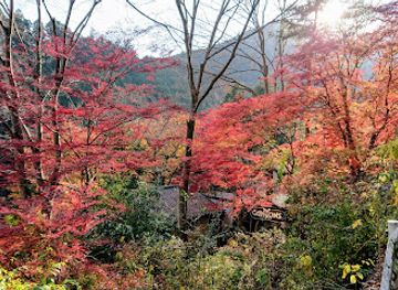 japan/aki/attraction/canyons-okutama