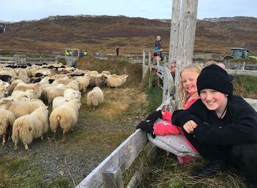 iceland/northwestern-region/attraction/skarosrett