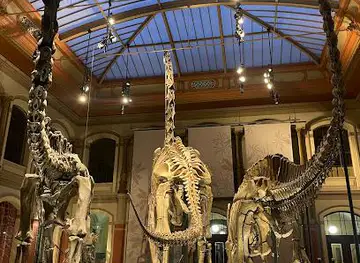 Museum für Naturkunde