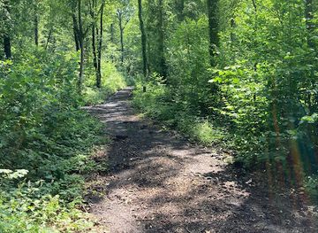 belgium/condroz/attraction/balade-didactique-dans-le-bois-de-gesves-circuit-carre-rouge